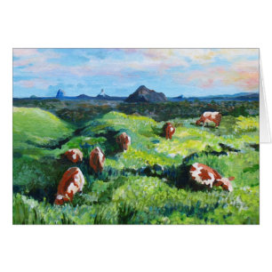Maleny cows