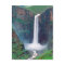 Maletsunyane Falls Lesotho