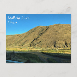 Malheur River, Oregon Postcard