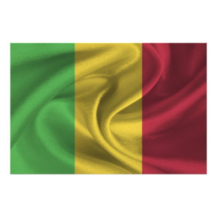 Mali Flag Photo Print