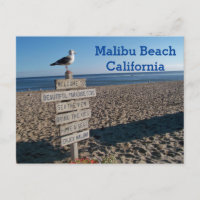 Malibu Beach Postcard- Paradise Cove Seagull Sign