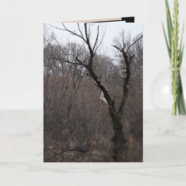 Malificent Tree Card (Front)