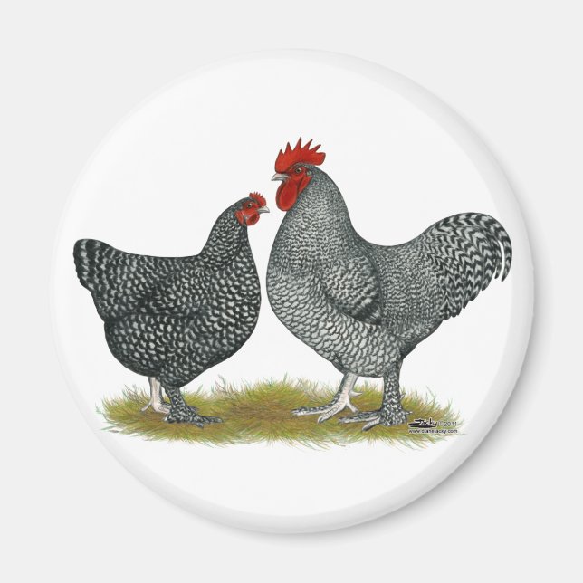 Maline Chickens Magnet (Front)