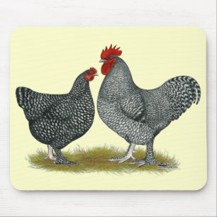 Maline Chickens Mouse Pad
