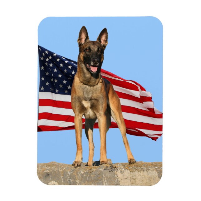 Malinois and Flag flexible magnet (Vertical)