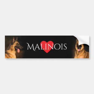 Malinois Bumper Sticker