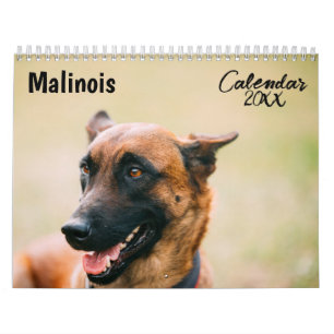 Malinois calendar 2025