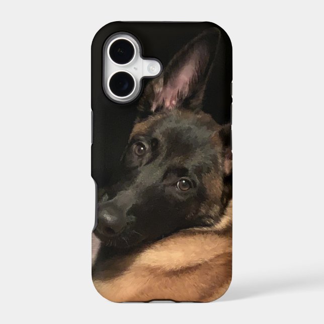 Malinois Dog (Back)