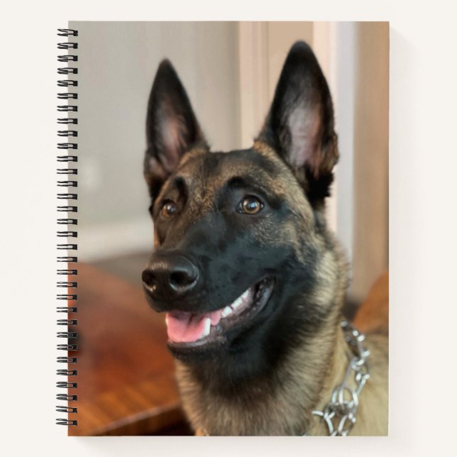 Malinois Dog Notebook (Front)