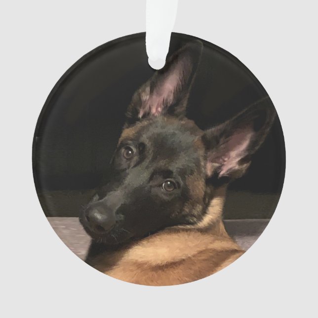 Malinois Dog Ornament (Front)