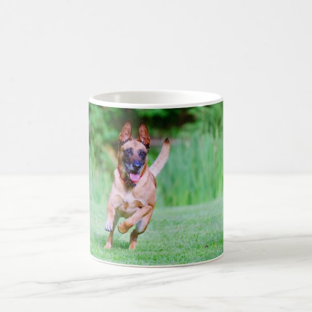 Malinois dog running coffee mug (Center)