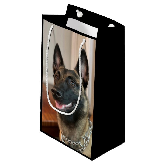Malinois Dog Small Gift Bag (Front Angled)