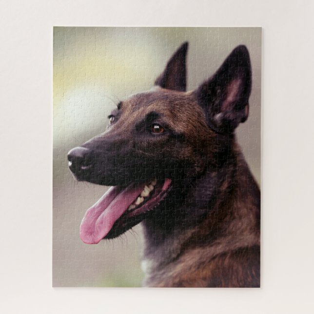 Malinois german shepherd dog portrait pet dog jigsaw puzzle (Vertical)