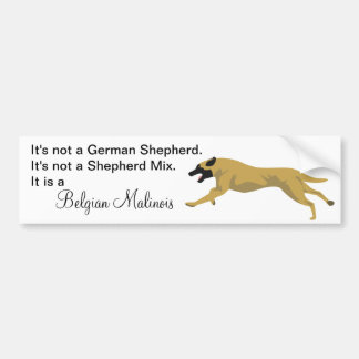 Malinois NOT German Shepherd Bumper Sticker