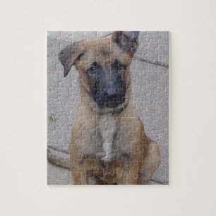 malinois puppy sitting.png jigsaw puzzle