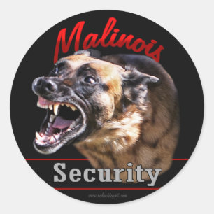 Malinois Security Classic Round Sticker