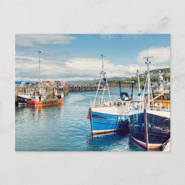 Mallaig Harbour Postcard (Front)