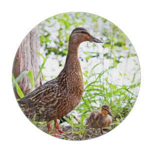 Mallard and Ducklings by Shirley Taylor Cutting Board