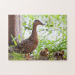 Mallard and Ducklings by Shirley Taylor Jigsaw Puzzle