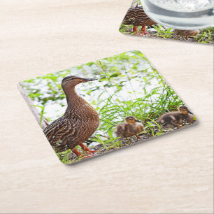 Mallard and Ducklings by Shirley Taylor Square Paper Coaster