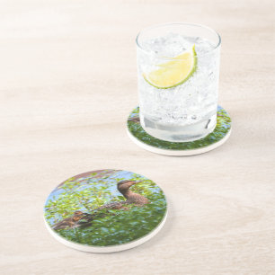 Mallard and Ducklings-Swimming by Shirley Taylor Coaster