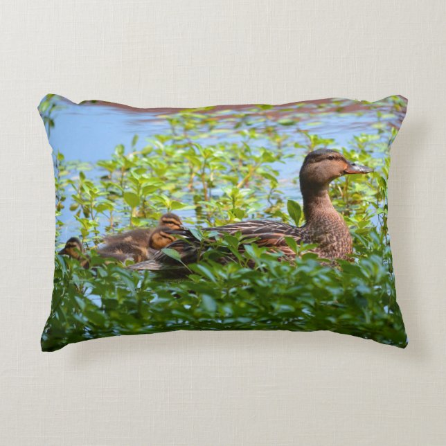 Mallard and Ducklings-Swimming by Shirley Taylor Decorative Cushion (Front)