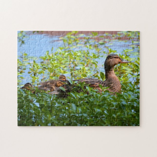 Mallard and Ducklings-Swimming by Shirley Taylor Jigsaw Puzzle (Horizontal)