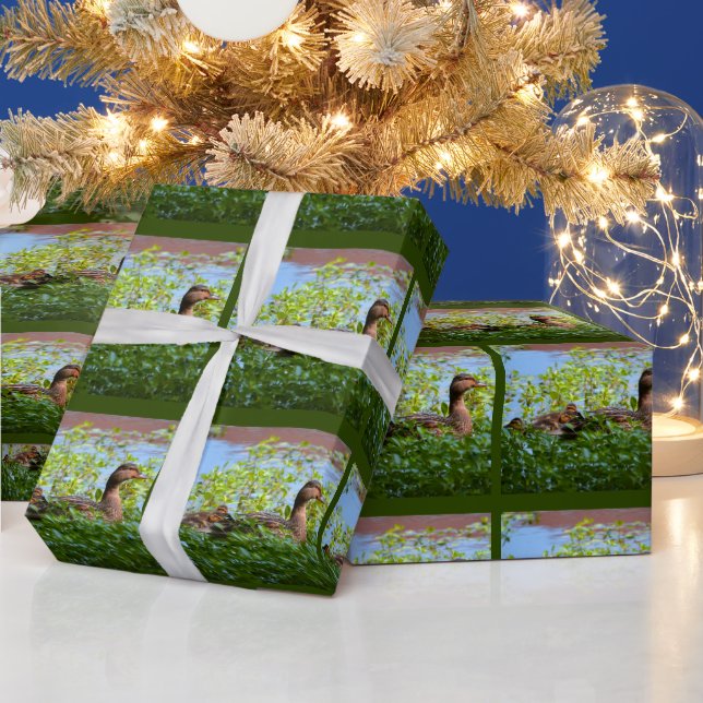 Mallard and Ducklings-Swimming by Shirley Taylor Wrapping Paper (Holidays)