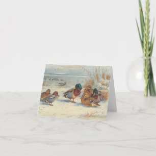 Mallard and teal in the snow, Birds Card