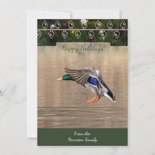 Mallard  Christmas Card