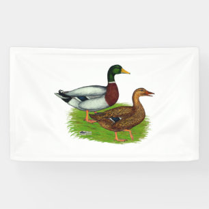Mallard Drake and Duck Banner