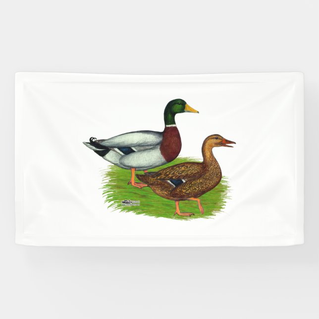 Mallard Drake and Duck Banner (Horizontal)