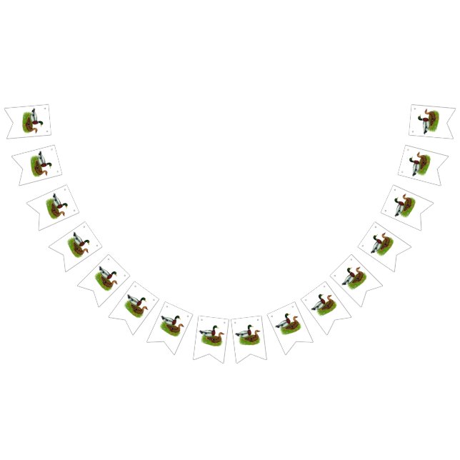 Mallard Drake and Duck Bunting (All)