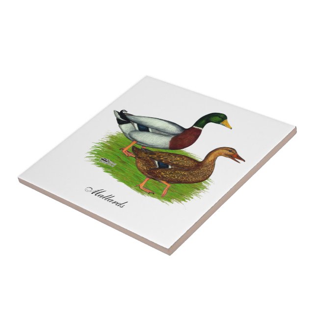 Mallard Drake and Duck Ceramic Tile (Side)