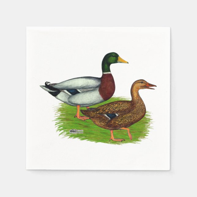 Mallard Drake and Duck Napkin (Front)