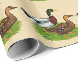 Mallard Drake and Duck Wrapping Paper