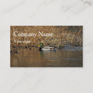 Mallard drake business card