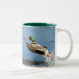 Mallard (drake) Coffee Mug