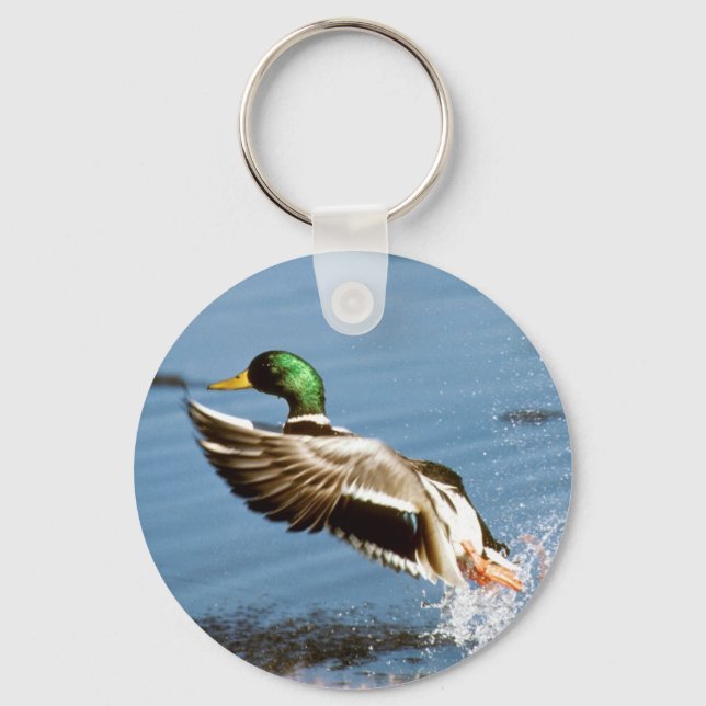 Mallard Drake Duck Key Ring (Front)