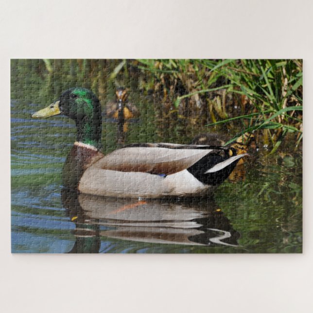 Mallard Drake Ducklings Photograph Jigsaw Puzzle (Horizontal)