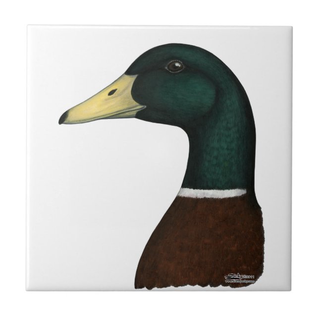 Mallard Drake Head Ceramic Tile (Front)