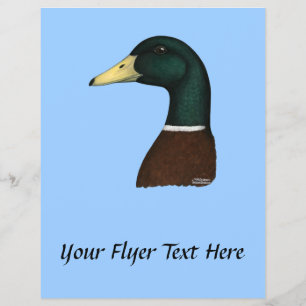 Mallard Drake Head Flyer