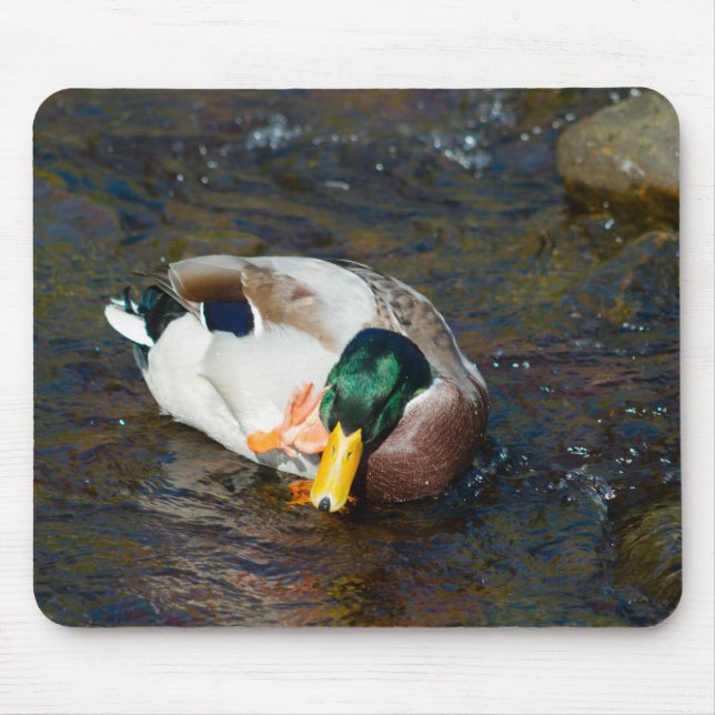 Mallard Drake Mouse Pad (Front)