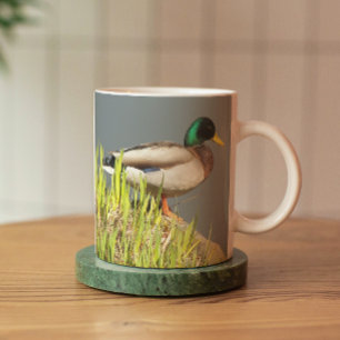 Mallard Drake Nature Photo Mug