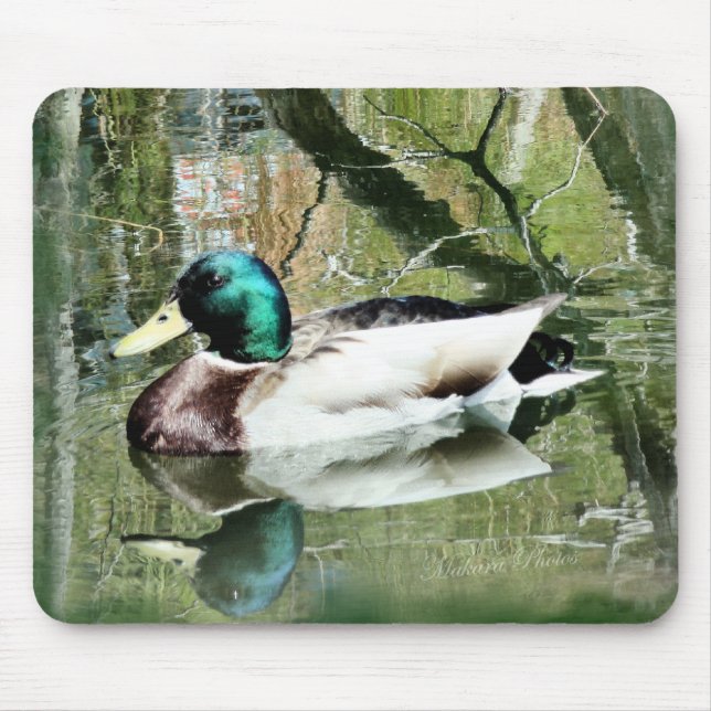 Mallard Drake reflections Mousepad- personalise Mouse Pad (Front)
