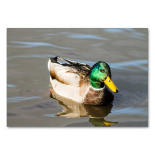 Mallard Drake Table Number