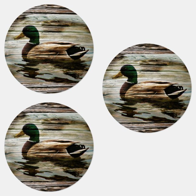 Mallard Duck (Group)