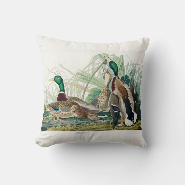 Mallard Duck, 1834, From the Birds of America Cushion (Front)