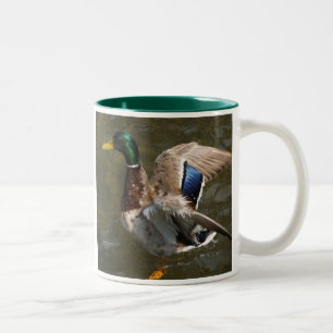 mallard duck about to fly two-toned ceramic mug
