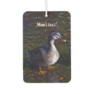 Mallard Duck Air Freshener